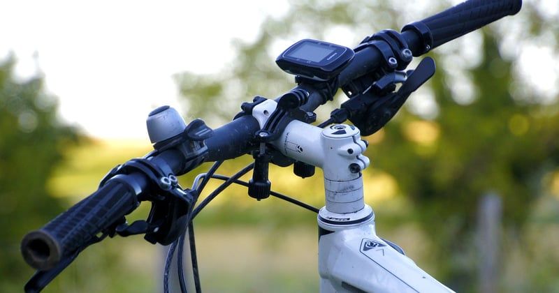 Randonnées en forêt : comment s'orienter sans GPS, les astuces qui sauvent