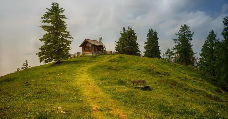 Vraie cabane perchée ou lodge déguisé : comment faire la différence