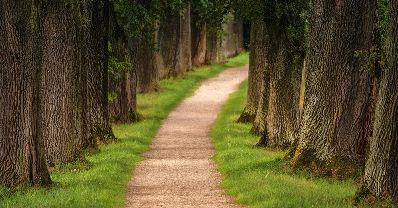 Comment trouver un sentier de randonnée facile autour de vous