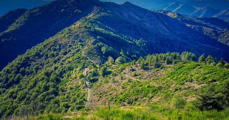 Les Cévennes : le bivouac en forêt, version méditerranéenne
